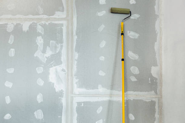Best Mold Removal for HVAC Installations  in Brownsville, KY
